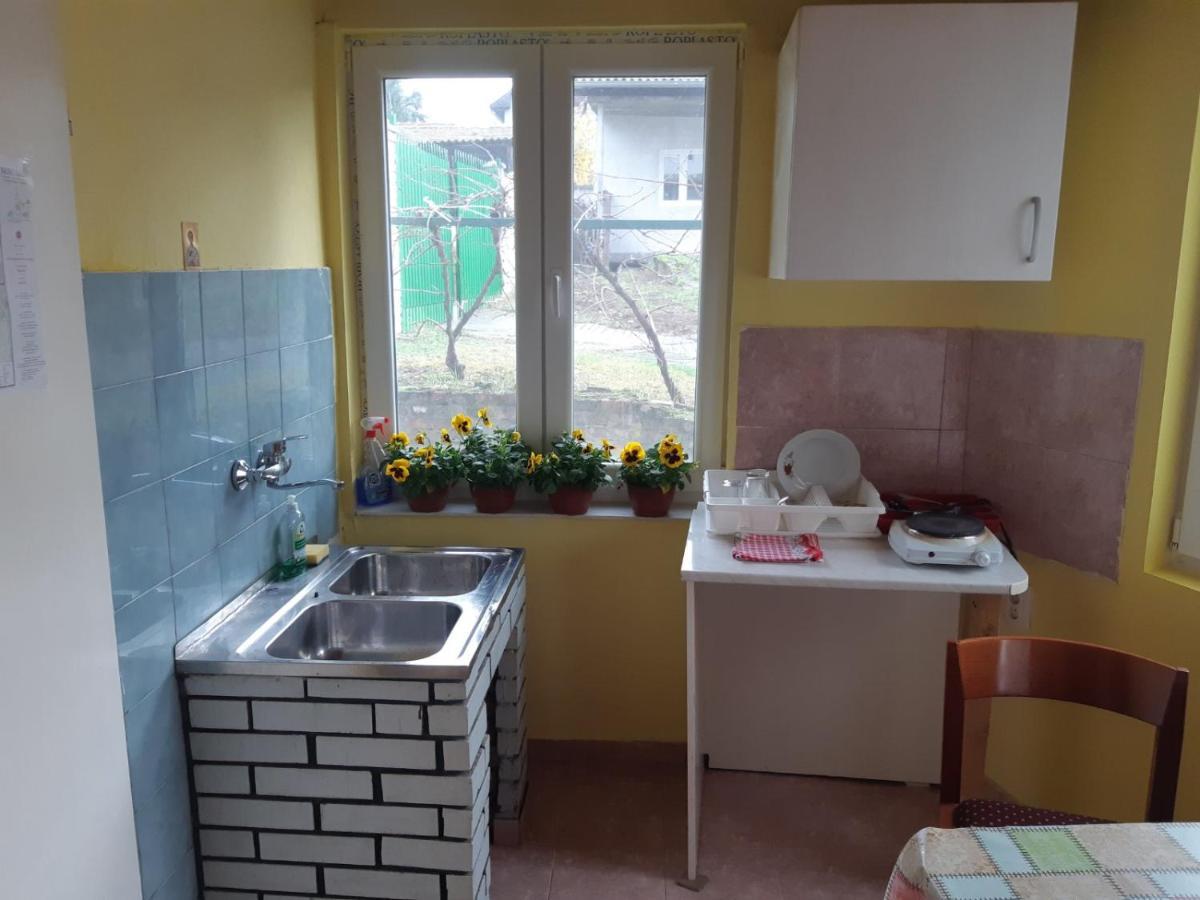 Apartman Novi Sad - Apartment Novi Sad Sremska Kamenica Zewnętrze zdjęcie